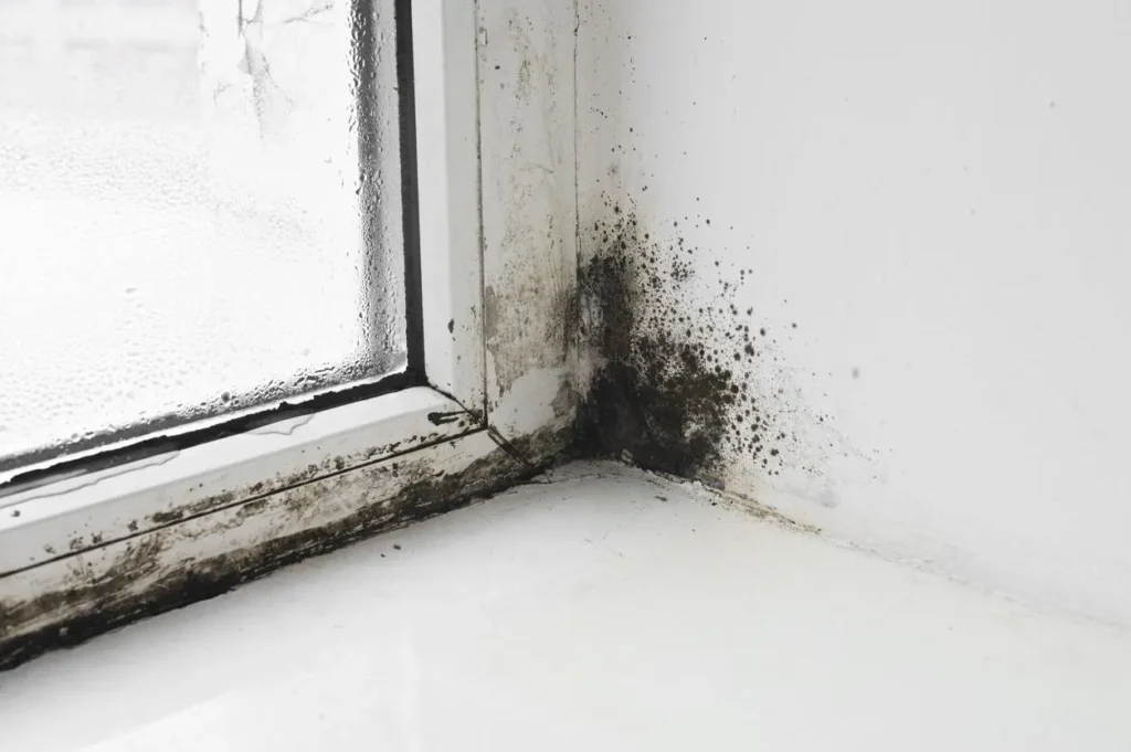 moisissure-salle-de-bain-astuces-naturelles